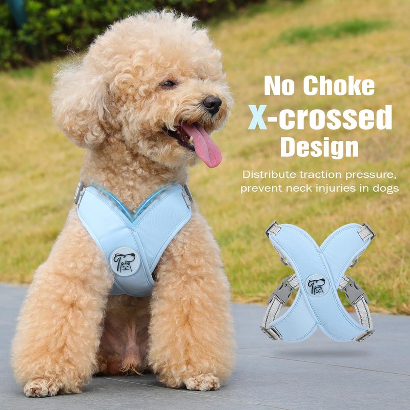 Pawaboo Small Dog Harness and Leash Set, Puppy Harness X-Frame