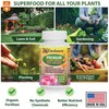 GARDENERA Organic Orchid Elixir - 24 oz - Liquid Kelp