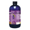 Pronat | GLUCOSAMINA LIQUIDA UVA 580 ML
