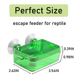 Tfwadmx 2 Pcs Reptile Feeder Chameleon Bowl Water Dish with Suction Cup Gecko Worm Feeder Anti-Escape Chameleon Supplies Accessories for Iguana Lizard Bearded Dragon Snakes （Green,S）