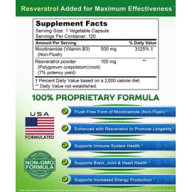 Nicotinamida 500 Resveratrol Precursor Nad Gmp