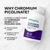 Wellsgoing Chromium Picolinate 200 mcg – Metabolic Support Supplement –