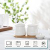 HAOTOP Ceramic Sugar Bowl 2 Pack, PorcelainJar with Tray, Spoon
