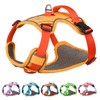 Dogs Kingdom Adjustable Choke Free Harness - Soft Padded Vest