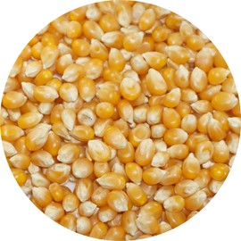 Popcorn, Ameyoko, Otsuya Popcorn Corn, Seeds, Popcorn (17.6 oz (500 g)
