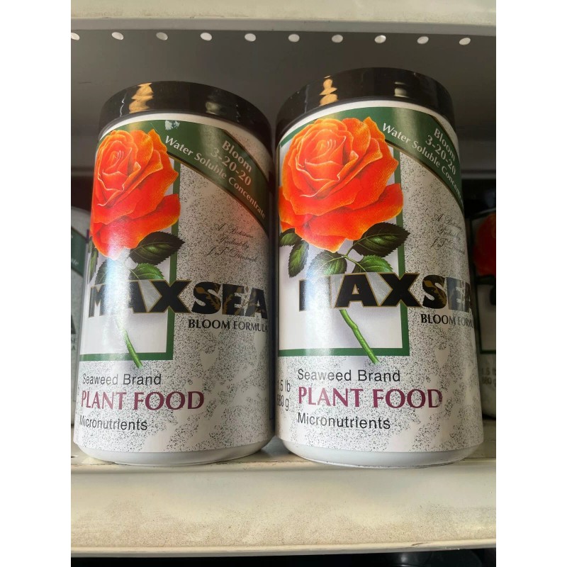 Bloom Maxsea BLOOM 3-20-20 Plant Food - Water Soluble Seaweed