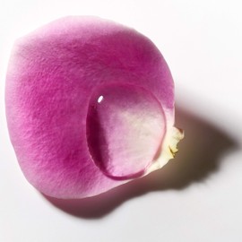 Olay Olay Cleanse Makeup Remover Cleansing Face Wipes, Daily Facial Towelettes, Rose Water, 25 Count, 3 Pack