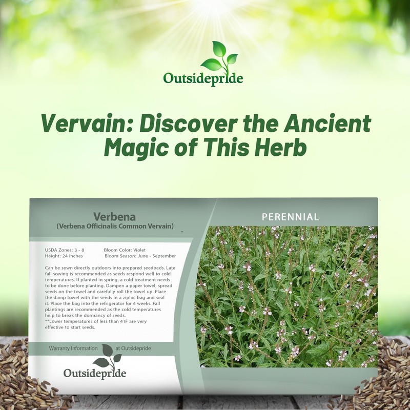 Outsidepride Common Verbena Seeds for Planting - 2000 Pcs. Annual,