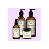 안나홀츠 Wrinkle Improvement Moisturizing Nourishing Intensive Care Revital Skin Lotion