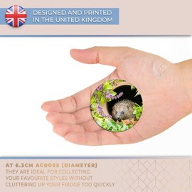 Destination Vinyl ltd Magnet for Refrigerator, Fridge - Cute Garden Hedgehog Animal for Office, Cabinet and Whiteboard, Magnetic Stickers, 14340