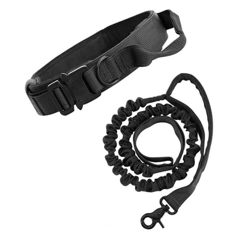 Collar para Perro, Correa para Perro, Collar de Nailon Militar