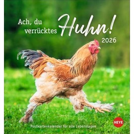 Hühner Postkartenkalender 2026 - Ach, du verrücktes Huhn!: Der Postkarten-Tischkalender 2026 für Fans des Federviehs mit coolen Sprüchen. ... 16 x 17 cm (Postkartenkalender Heye)