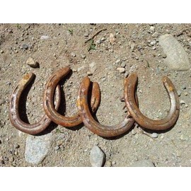 Used Horseshoes