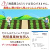 Japanese Mukuna Bean Tea Bag 0.1 oz (3.3 g) x