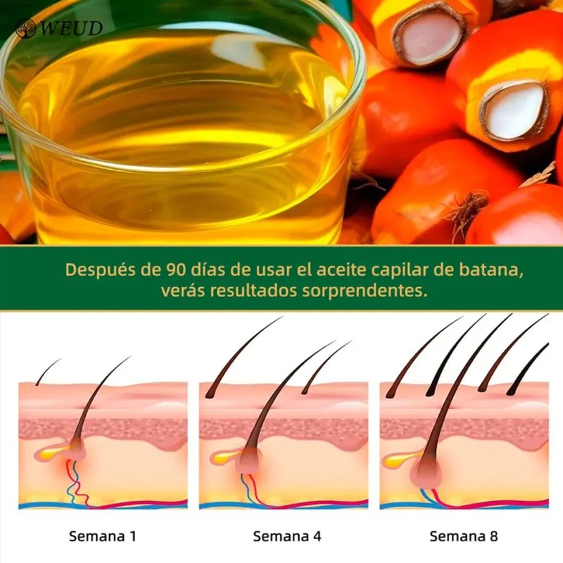 Weud Aceite De Batana De Para El Crecimiento Del Cabello
