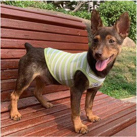 YQYS Dog Shirts Multi-Color Striped Cotton Vest for Small Dogs and Cats Puppy Clothes Teacup Dog Clothing Tank Top for Chihuahua Miniature Pinscher Green Medium