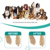 Multifunctional Puppy Nail Grinding Scratch Board Pad Nail File Board
