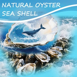 25pcs Concave Oyster Shells for Crafts 3"-4" Large Oyster Shells Bulk for Home Vase Filler Crafts Sea Shells Crafting Decorating Xmas Ornaments Diy Arts and Painting Wedding Home Decor