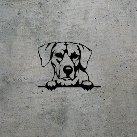 Decal Stickers of Rhodesian Ridgeback Peeking (Black) (Set of 2) Premium Waterproof Vinyl Decal Stickers for Laptop Phone Accessory Helmet Car Window Mug Tuber Cup Door Wall - ANDstic524214BL