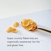 Nature's Path Organic Fruit Juice Sweetened Corn Flakes Cereal, 26.4