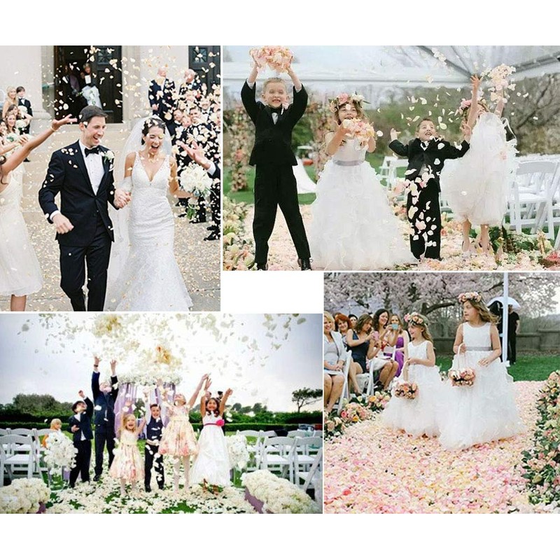 YoungLove 1000 Pcs Non-Woven Artificial Rose Petals Decorated Wedding Flower
