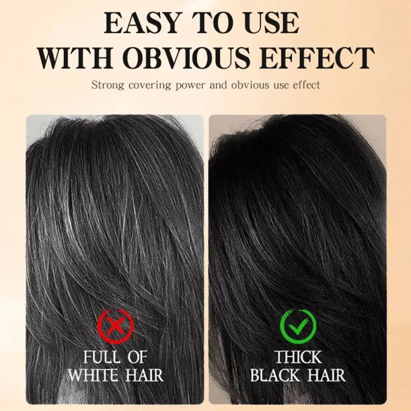 Tinte para Cabello Negro ALYKISS, Temporal con Peine y Cobertura
