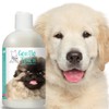 The Blissful Dog Gentle Touch Dog Shampoo, 8-Ounce