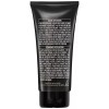 Loreal Colorista One Day Hair Color Makeup Wash Out ~