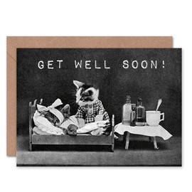 Wee Blue Coo GET WELL SOON LITTLE FOLK OF ANIMALS CAT ART BLANK GREETINGS CARD