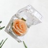 NOLITOY Preserved Flower Box, Single Rose Never Withered Bixes Preserved