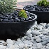 FINIKIS 2lbs Black Pebbles for Indoor Plants, 1-2Inch Natural River