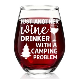 TOUNER Just Another With A Camping Problem Stemless Wine Glass, Funny Camping Quotes Wine Glass Gifts for Women Men Outdoors Camp Lover, Birthday Gifts for Women Men Adventure Lover Hikers & Explorers