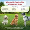 Harness Lead No Pull Dog Harness and Leash Set, Anti