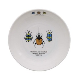 TOTOY toto-i Curry Dishes, Lightweight 16.5 cm For Boys Girls Children's dishes Children Cutlery Kids Cutlery