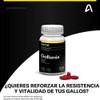 Suplemento Multivitaminico Para Gallo De Pelea Y Ave 100 Tab