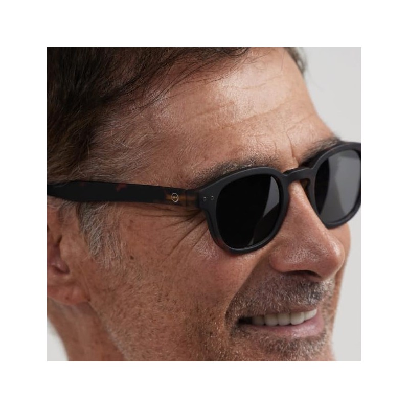 IZIPIZI Sunglasses with Case #C Brown