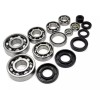 Pro Moto Supply Kawasaki KX65 Engine Crankshaft & Transmission Bearings