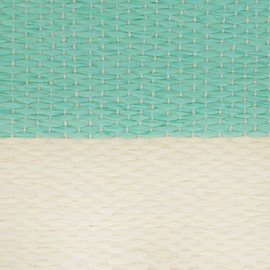 DII Agua (Aqua) 1.00|pounds