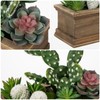 GnFlus Fake Cactus Plant Small Succulents Plants Artificial Succulents in