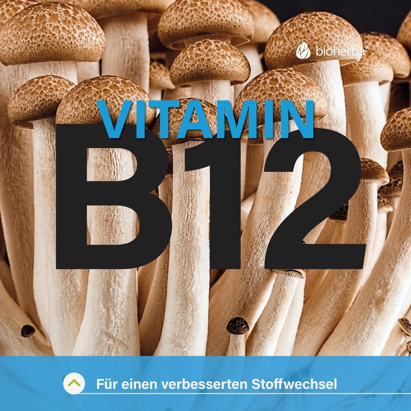 Pygeum (bark), Pygeum africanum, Bioherba, 100 capsules х 350 mg