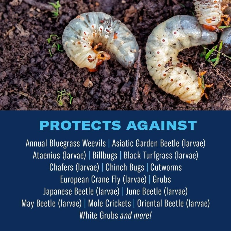 BioAdvanced Season Long Grub Control Plus Turf Revitalizer, Granules, 24