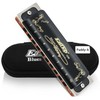 East Top 10 Holes 20 Tones 008K Blues Professional Diatonic