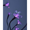 Lightshare Cherry Blossom Lighted Tree 5 Feet, RGB with Remote