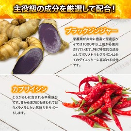 燃焼革命 ブラックジンジャー サプリメント サプリ カプサイシン L-カルニチン 厳選11種 30日分