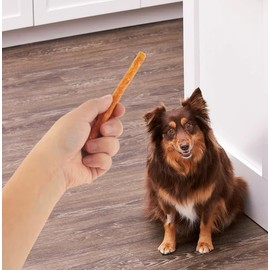 Ol' Roy 5" Munchy Sticks with Chicken Flavor, 16.4 oz, 50 Count