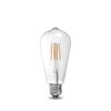 GREENLIGHTDEPOT LED Clear Filament Bulb - ST21-60 Watt Equivalent -