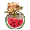 Cute Watermelon Shape Ceramics Planters, Ceramic Succulent Pots with Drainage