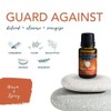  Airome, Essential Oils Blends Set of 6 (Each Bottle: