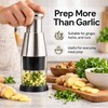 Stainless Steel Manual Garlic Chopper – Push-Down Mini Food Mincer