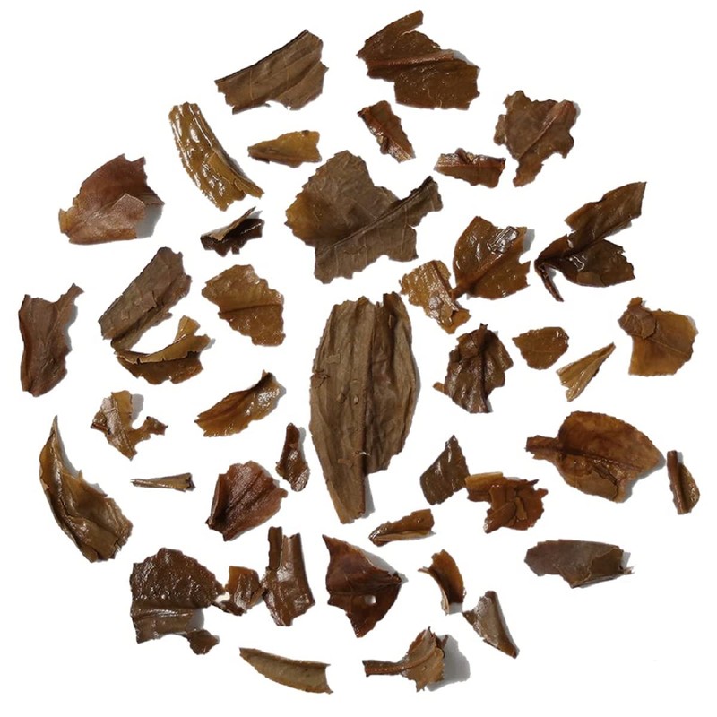 OKAYTI Tea Garden Darjeeling 2024 Summer Tea Picked Clonal Wonder